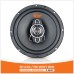 SP-6.5C / 150 W-300W RMS